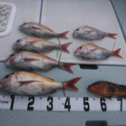 遊漁船 幸友丸 釣果