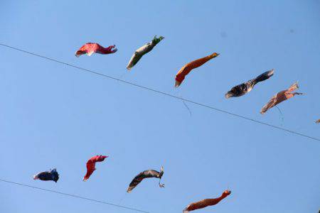 小菅トラウトガーデン 釣果