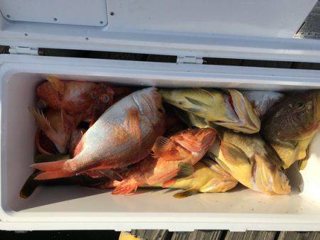 寿裕 （YOSHIHIRO） 釣果