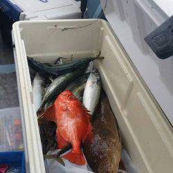 第五慶門丸 釣果