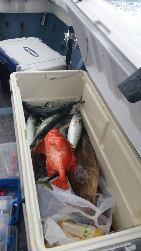 第五慶門丸 釣果