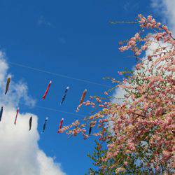 小菅トラウトガーデン 釣果