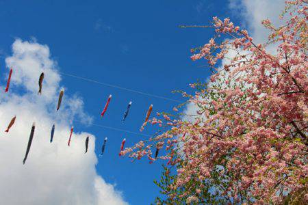 小菅トラウトガーデン 釣果
