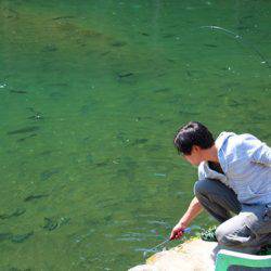 小菅トラウトガーデン 釣果