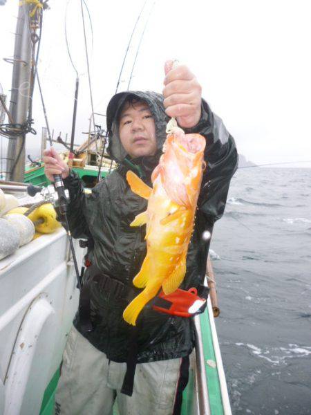 真祐丸 (しんゆうまる) 釣果