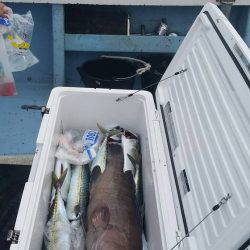 第五慶門丸 釣果