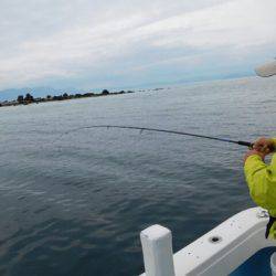 海晴丸 釣果