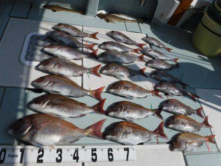 遊漁船 幸友丸 釣果