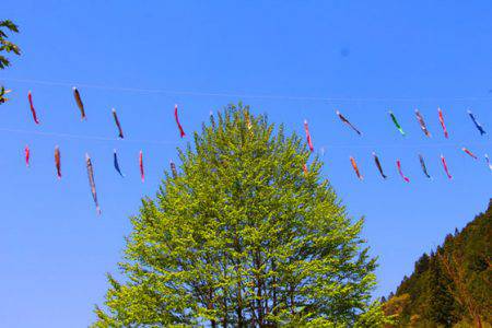 小菅トラウトガーデン 釣果