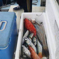 第五慶門丸 釣果