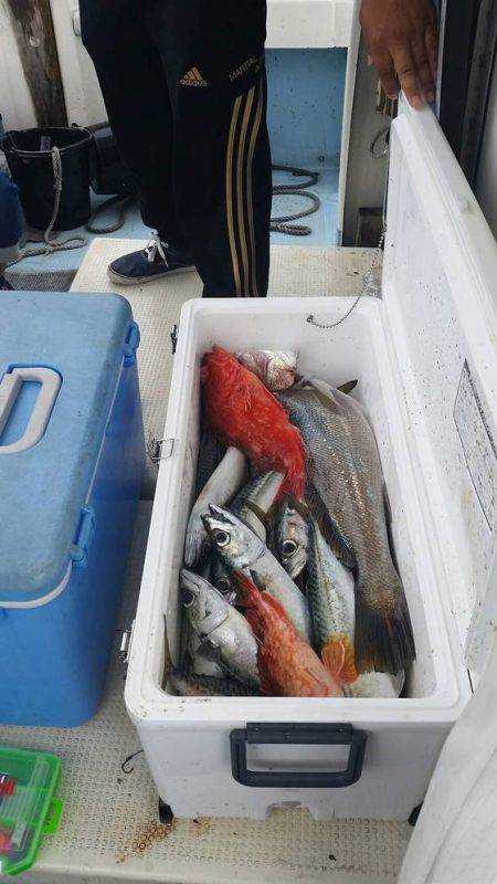 第五慶門丸 釣果