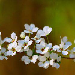小菅トラウトガーデン 釣果