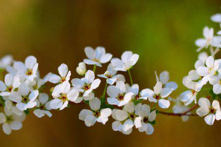 小菅トラウトガーデン 釣果