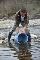 秩父フライフィールド 釣果