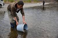 秩父フライフィールド 釣果