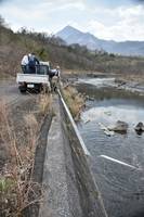 秩父フライフィールド 釣果