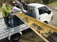 秩父フライフィールド 釣果