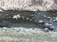 秩父フライフィールド 釣果