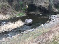 秩父フライフィールド 釣果