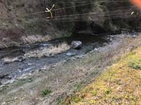 秩父フライフィールド 釣果