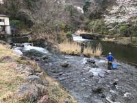 秩父フライフィールド 釣果