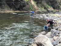秩父フライフィールド 釣果