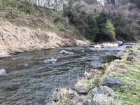 秩父フライフィールド 釣果