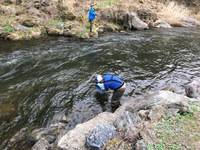 秩父フライフィールド 釣果