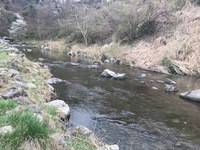 秩父フライフィールド 釣果