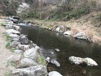 秩父フライフィールド 釣果