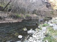 秩父フライフィールド 釣果