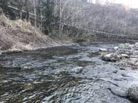 秩父フライフィールド 釣果