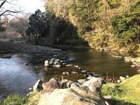 秩父フライフィールド 釣果