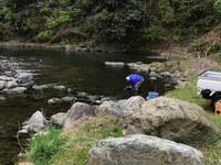 秩父フライフィールド 釣果