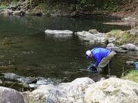秩父フライフィールド 釣果