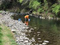 秩父フライフィールド 釣果