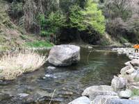 秩父フライフィールド 釣果