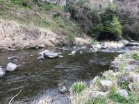 秩父フライフィールド 釣果