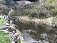 秩父フライフィールド 釣果
