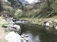 秩父フライフィールド 釣果