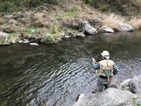 秩父フライフィールド 釣果