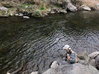 秩父フライフィールド 釣果