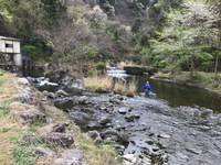 秩父フライフィールド 釣果