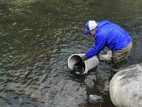秩父フライフィールド 釣果