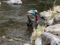 秩父フライフィールド 釣果