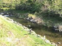 秩父フライフィールド 釣果