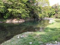 秩父フライフィールド 釣果