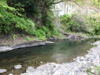 秩父フライフィールド 釣果