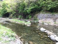 秩父フライフィールド 釣果