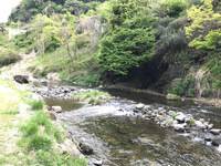 秩父フライフィールド 釣果